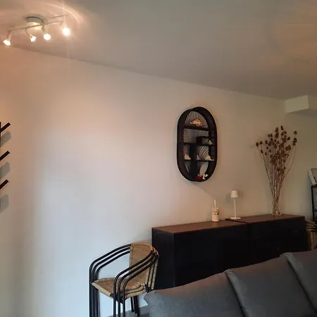 Apartment 67 M2 Avec 100 M2 Jardin Privatif Reservable Uniquement Par Periode De 7 Jours Minimum Du Samedi Au Samedi Arcachon