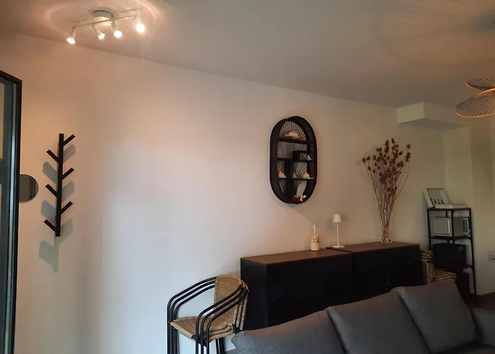 Apartment 67 M2 Avec 100 M2 Jardin Privatif Reservable Uniquement Par Periode De 7 Jours Minimum Du Samedi Au Samedi Arcachon